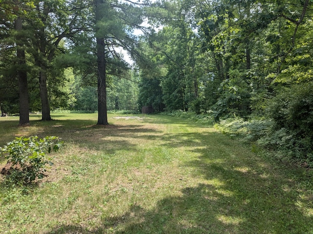 002 Caberfae Hwy, Manistee, MI 49660 - photo 3