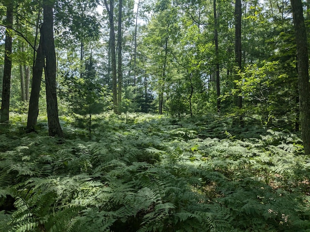 002 Caberfae Hwy, Manistee, MI 49660 - photo 7