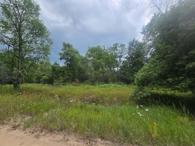 11660 Behlke Rd SE, Fife Lake, MI 49633 - photo 1