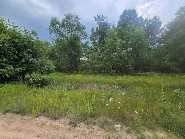 11660 Behlke Rd SE, Fife Lake, MI 49633 - photo 2