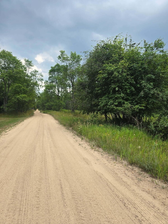 11660 Behlke Rd SE, Fife Lake, MI 49633 - photo 3