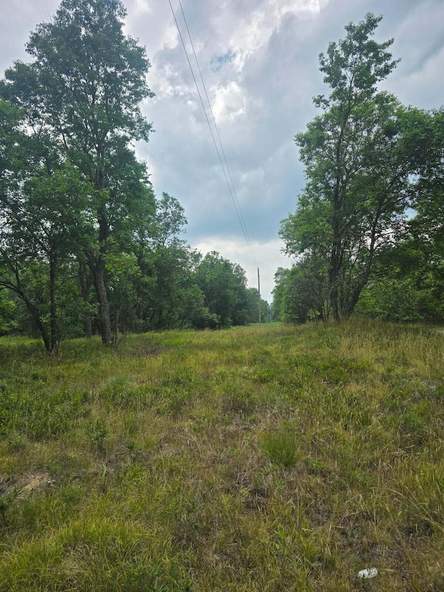 11660 Behlke Rd SE, Fife Lake, MI 49633 - photo 4
