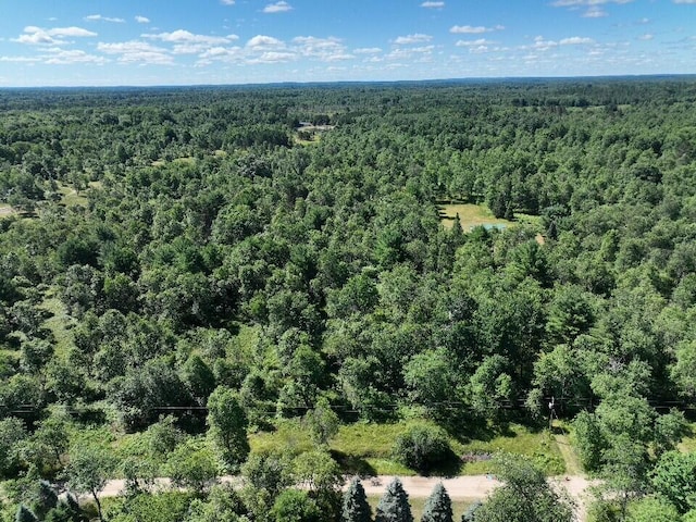 11660 Behlke Rd SE, Fife Lake, MI 49633 - photo 6