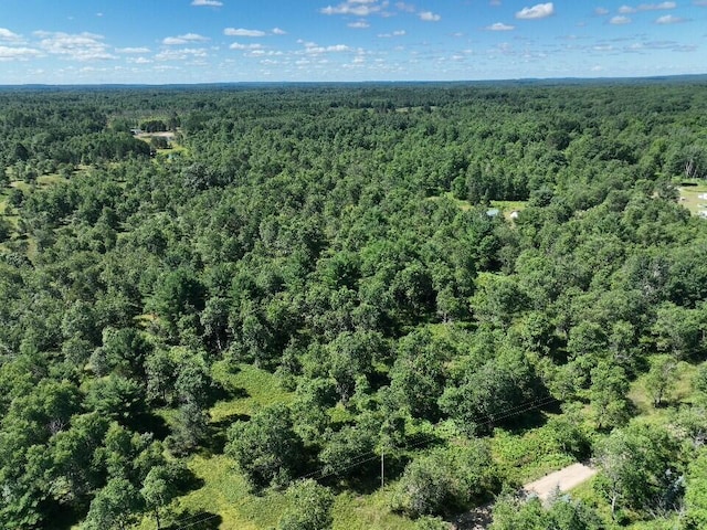 11660 Behlke Rd SE, Fife Lake, MI 49633 - photo 8