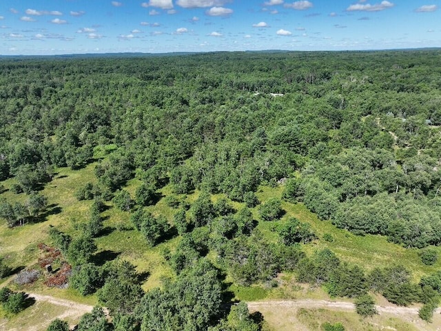 11660 Behlke Rd SE, Fife Lake, MI 49633 - photo 9