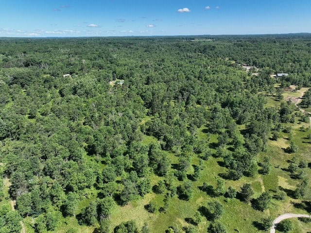 11660 Behlke Rd SE, Fife Lake, MI 49633 - photo 10