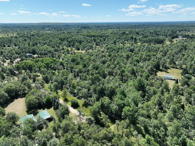11660 Behlke Rd SE, Fife Lake, MI 49633 - photo 11