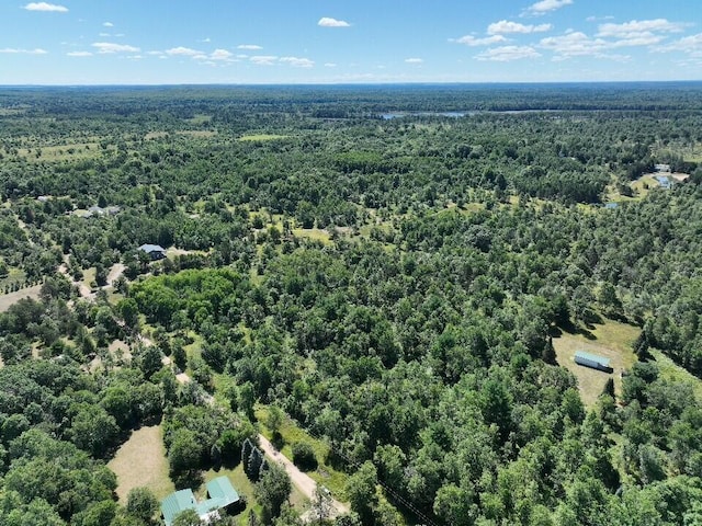 11660 Behlke Rd SE, Fife Lake, MI 49633 - photo 12