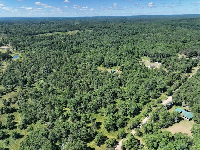 11660 Behlke Rd SE, Fife Lake, MI 49633 - photo 14