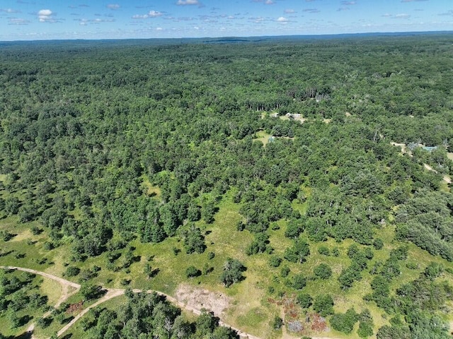 11660 Behlke Rd SE, Fife Lake, MI 49633 - photo 15