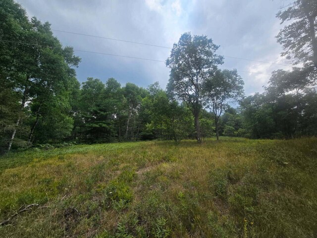 11722 Behlke Rd SE, Fife Lake, MI 49633 - photo 3