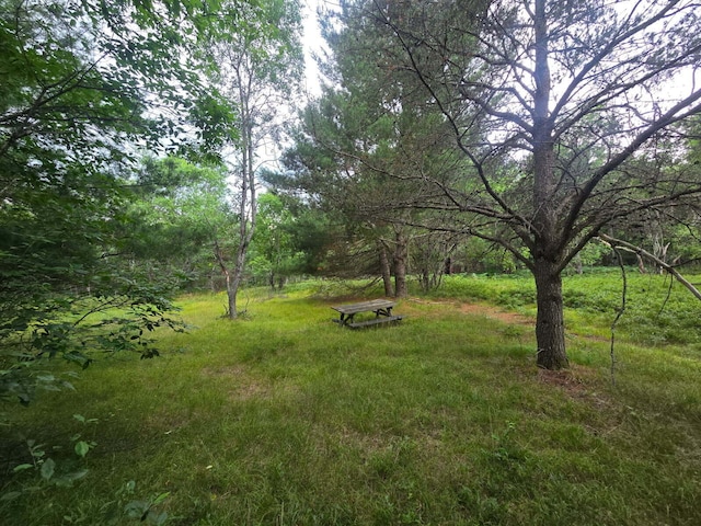 11722 Behlke Rd SE, Fife Lake, MI 49633 - photo 6