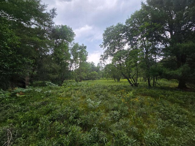 11722 Behlke Rd SE, Fife Lake, MI 49633 - photo 7