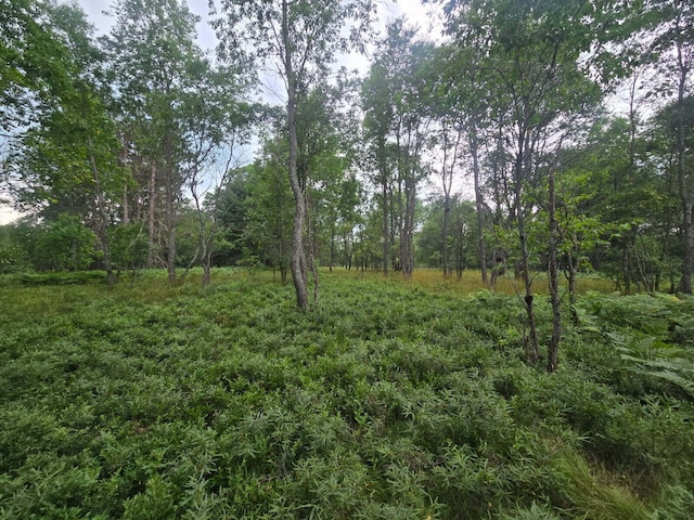 11722 Behlke Rd SE, Fife Lake, MI 49633 - photo 8