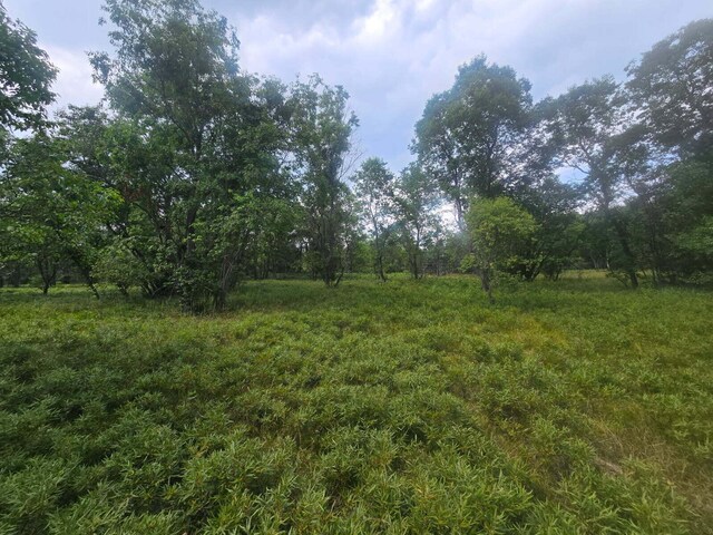 11722 Behlke Rd SE, Fife Lake, MI 49633 - photo 9