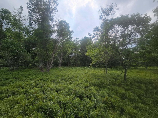 11722 Behlke Rd SE, Fife Lake, MI 49633 - photo 10