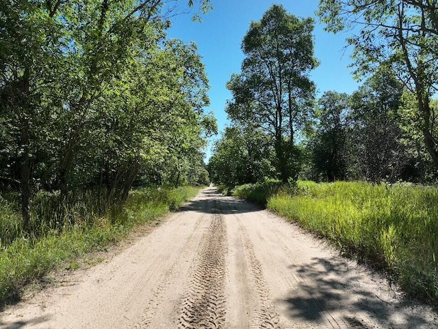 11722 Behlke Rd SE, Fife Lake, MI 49633 - photo 1