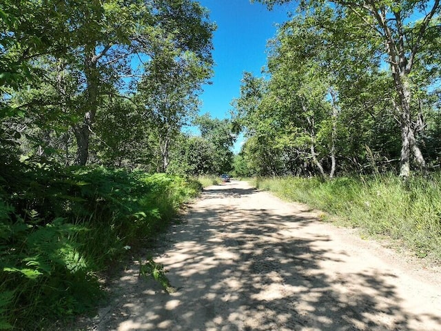 11722 Behlke Rd SE, Fife Lake, MI 49633 - photo 2