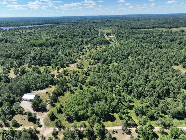 11722 Behlke Rd SE, Fife Lake, MI 49633 - photo 12