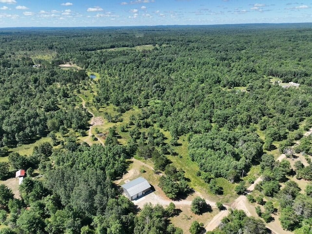 11722 Behlke Rd SE, Fife Lake, MI 49633 - photo 13