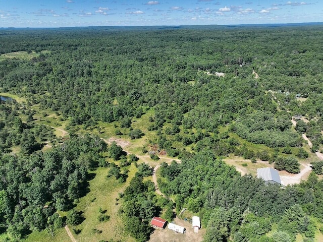11722 Behlke Rd SE, Fife Lake, MI 49633 - photo 14