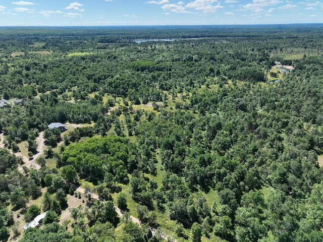 11722 Behlke Rd SE, Fife Lake, MI 49633 - photo 15
