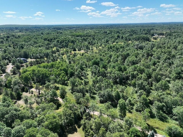 11722 Behlke Rd SE, Fife Lake, MI 49633 - photo 16