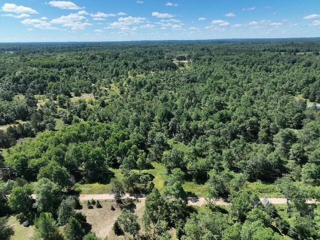 11722 Behlke Rd SE, Fife Lake, MI 49633 - photo 17