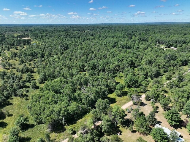 11722 Behlke Rd SE, Fife Lake, MI 49633 - photo 18