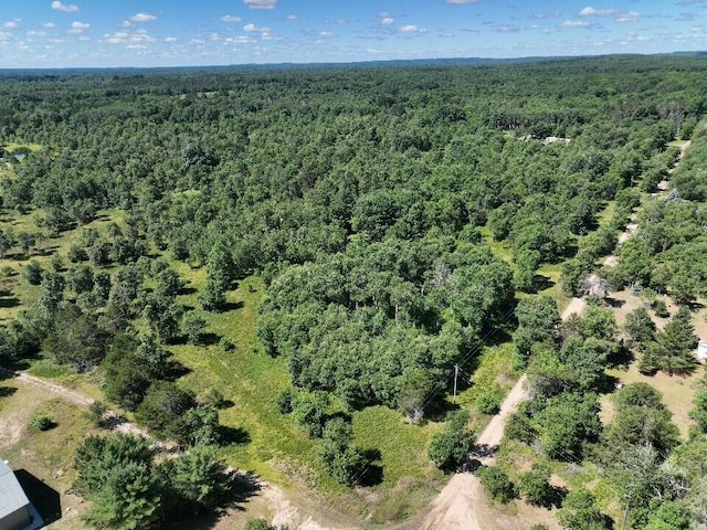 11722 Behlke Rd SE, Fife Lake, MI 49633 - photo 19