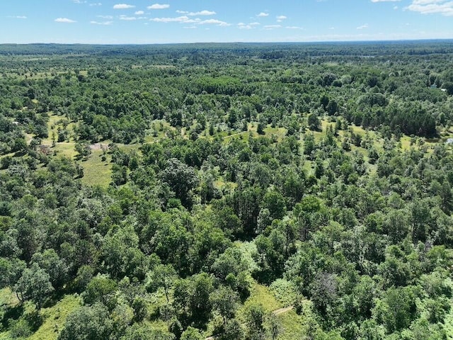 11722 Behlke Rd SE, Fife Lake, MI 49633 - photo 20