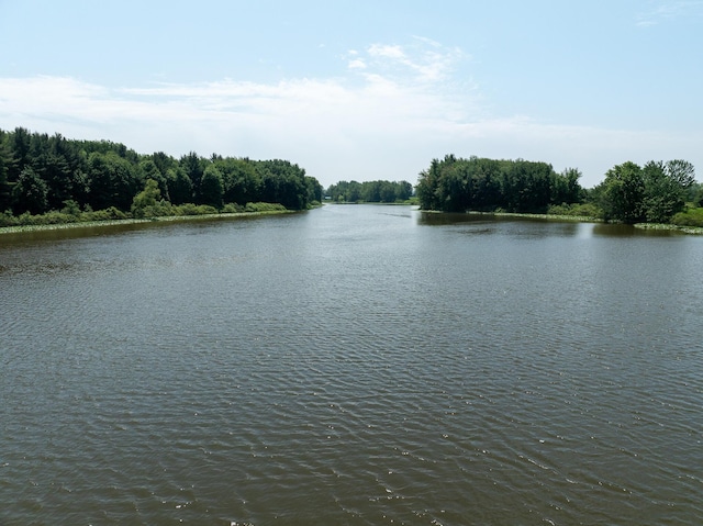 PARCELD N Stephens Rd, Custer, MI 49405 - photo 1