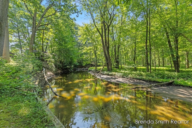 9141 Shady Ridge Dr, Sparta, MI 49345 - photo 47