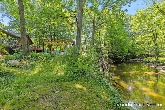 9141 Shady Ridge Dr, Sparta, MI 49345 - photo 59