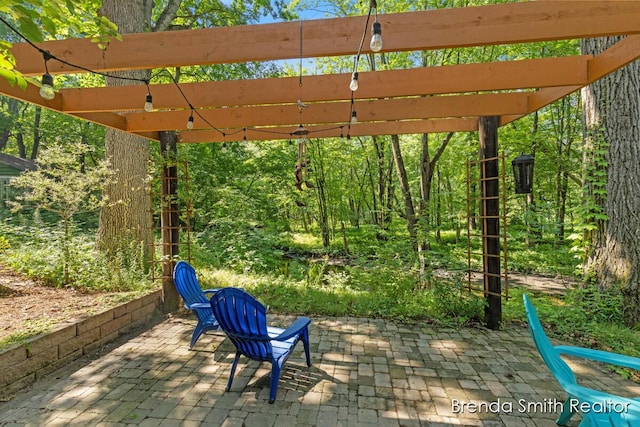 9141 Shady Ridge Dr, Sparta, MI 49345 - photo 56