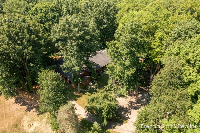 9141 Shady Ridge Dr, Sparta, MI 49345 - photo 68