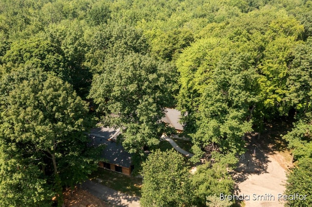 9141 Shady Ridge Dr, Sparta, MI 49345 - photo 69