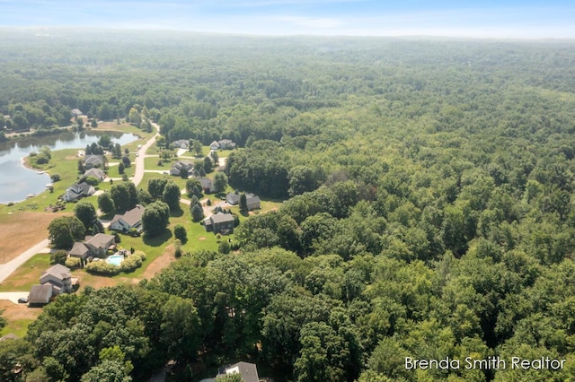 9141 Shady Ridge Dr, Sparta, MI 49345 - photo 80