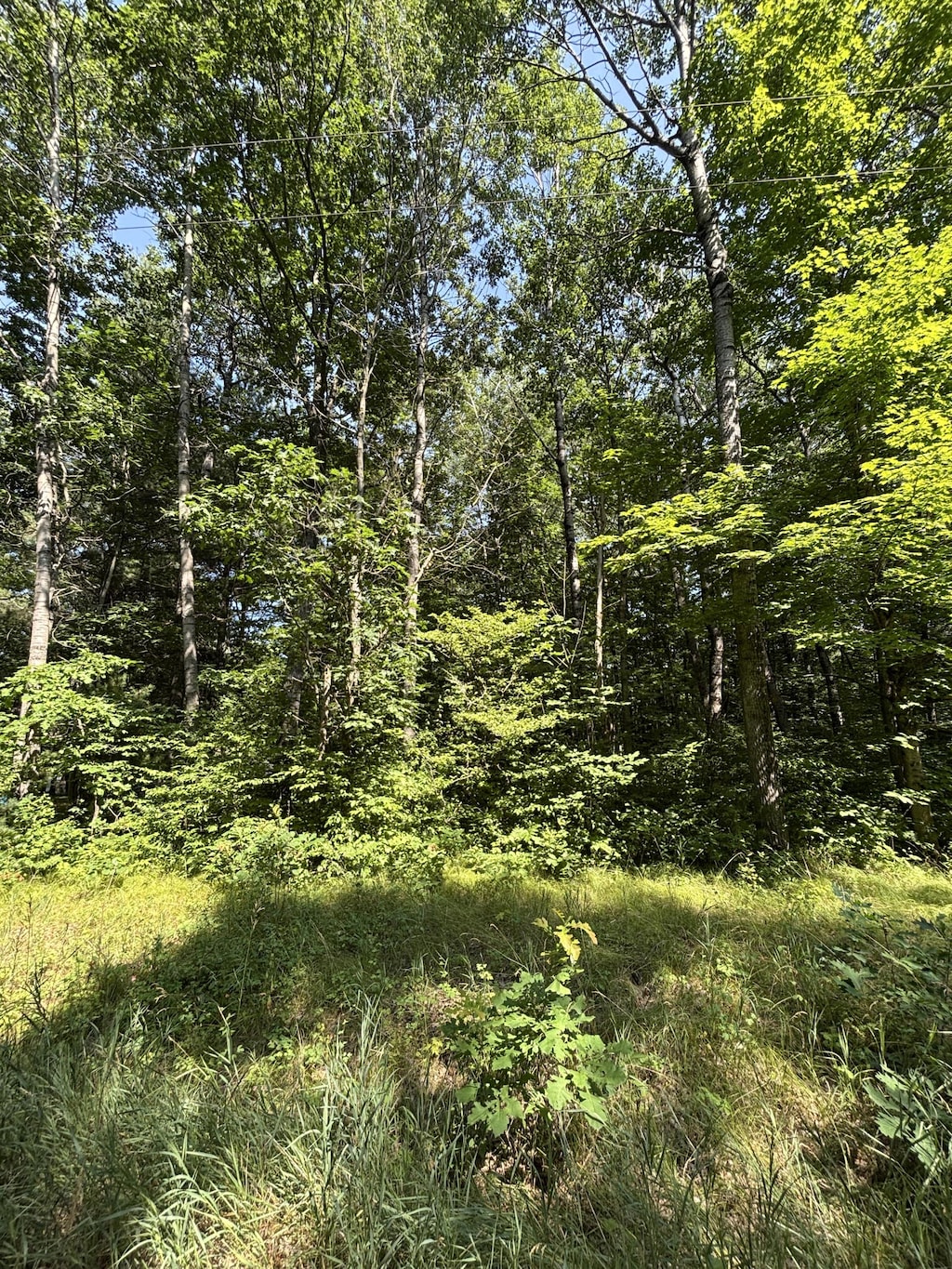 3628 Indian Trail Xing, Hersey, MI 49639 - photo 1