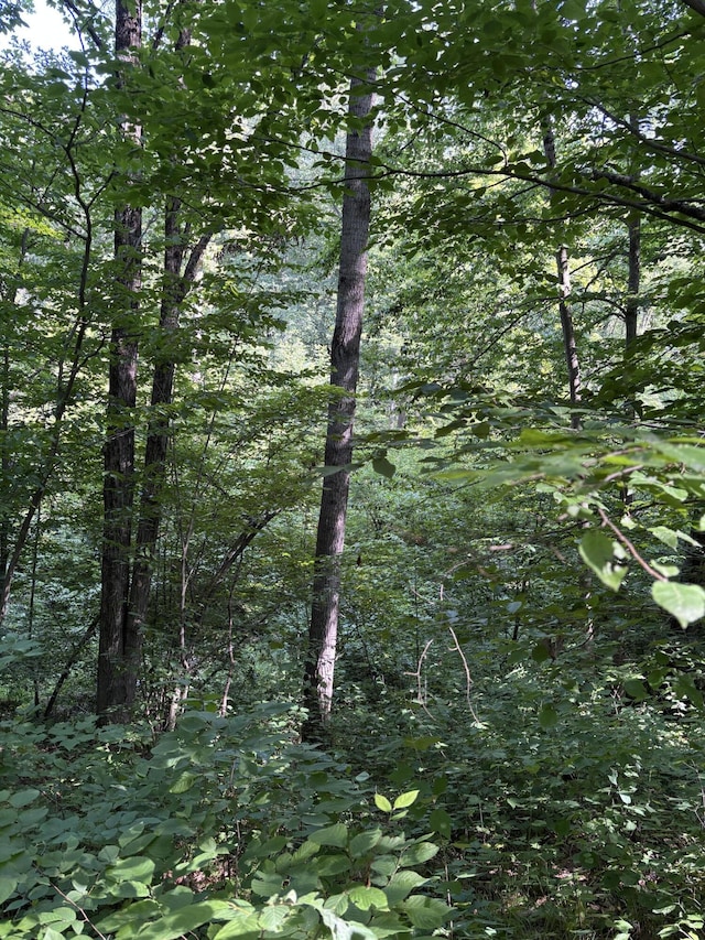 3628 Indian Trail Xing, Hersey, MI 49639 - photo 2