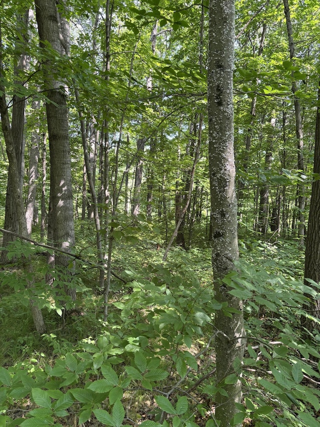 3628 Indian Trail Xing, Hersey, MI 49639 - photo 3