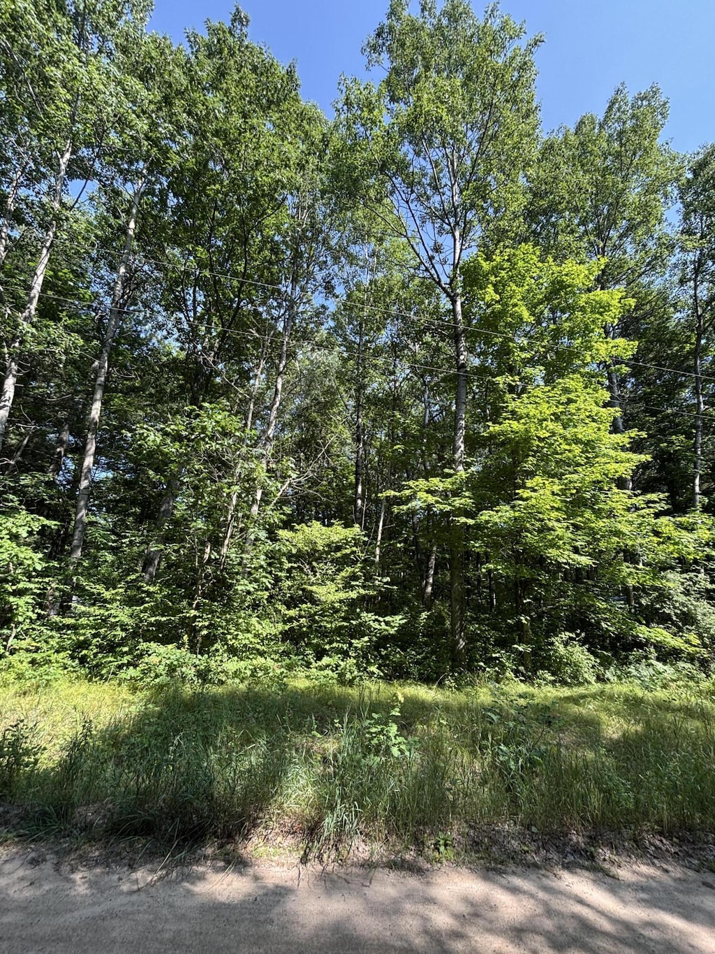 3628 Indian Trail Xing, Hersey, MI 49639 - photo 4