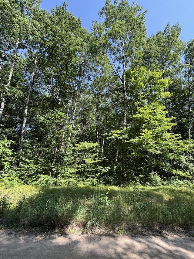 3628 Indian Trail Xing, Hersey, MI 49639 - photo 4