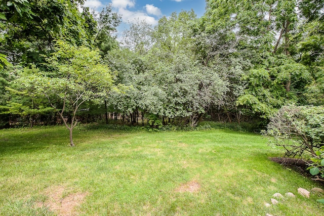 1040 Greenhills Dr Unit 09, Ann Arbor, MI 48105 - photo 47