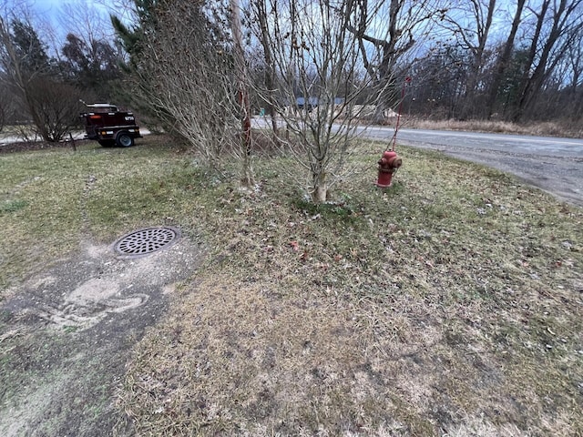 15655 Locke Rd, Union Pier, MI 49129 - photo 4