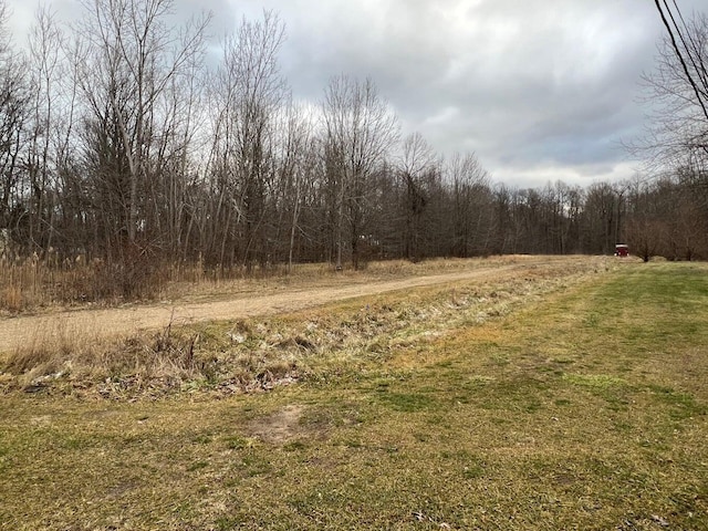 15655 Locke Rd, Union Pier, MI 49129 - photo 3