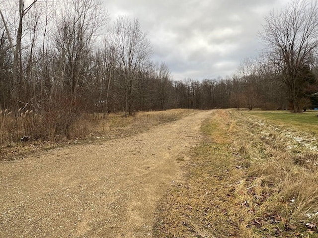 15655 Locke Rd, Union Pier, MI 49129 - photo 2
