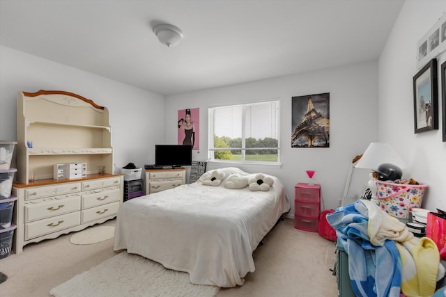 1332 Auston Ln, Chelsea, MI 48118 - photo 28