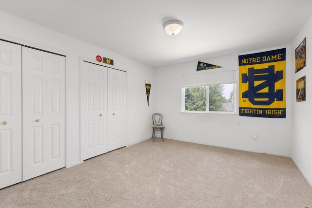 1332 Auston Ln, Chelsea, MI 48118 - photo 31