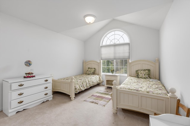 1332 Auston Ln, Chelsea, MI 48118 - photo 34
